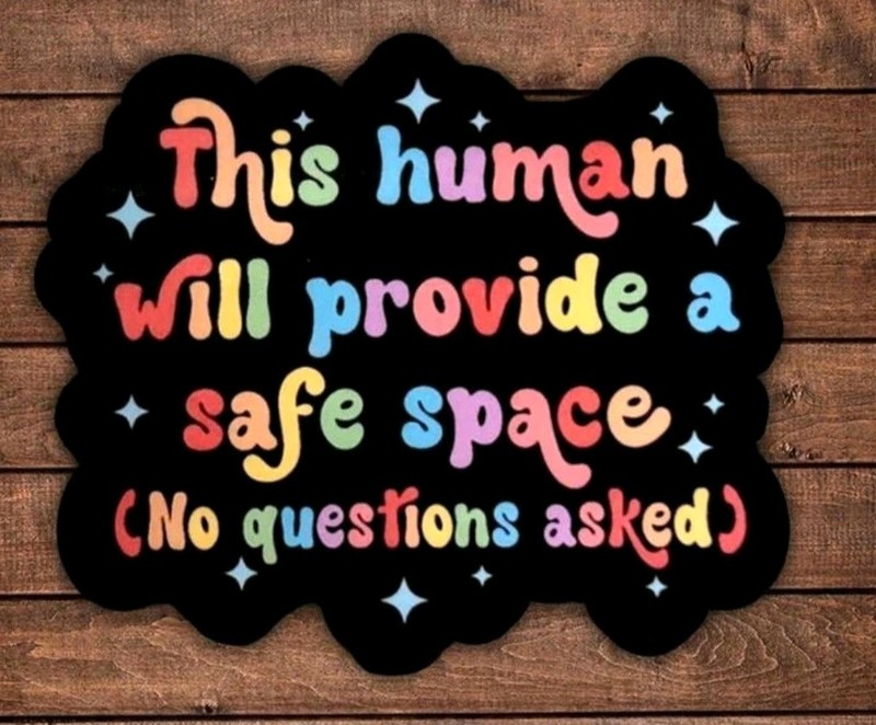This Human Will Provide A Safe Space Sticker Pride LGBTQ 3x3in Free Shipping